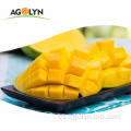 Agolyn 100% Natural Soft Soft Fruit Mango Chips